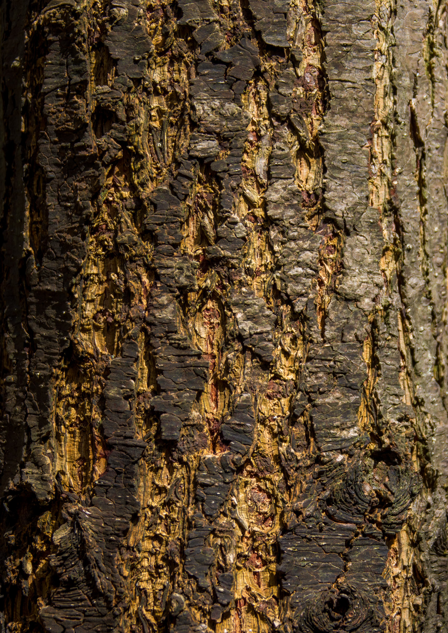 20220409151837 R5D 1482